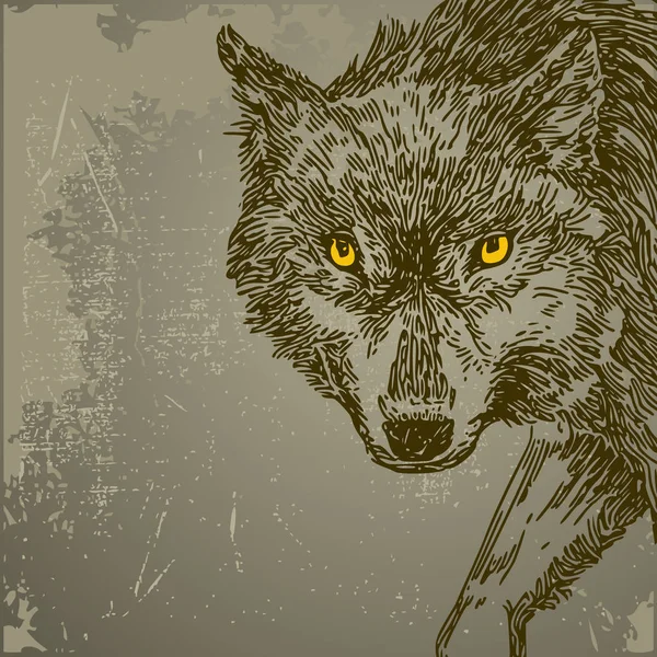 Beautiful background with wolf. Vintage style. — Stock Vector