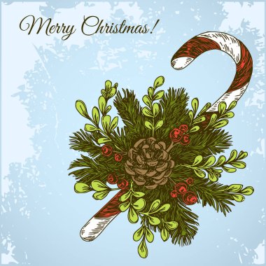 Köknar ağacı dalları, koniler ve şeker Renk ile Güzel Noel buketi