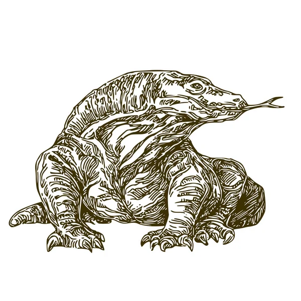 Dragón Komodo. Blanco y negro — Archivo Imágenes Vectoriales