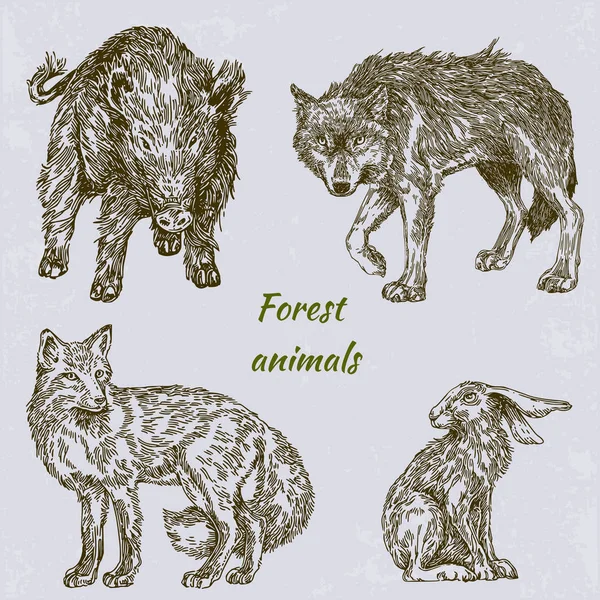 Bos dieren. Zwijnen, Wolf, vos en Haas. Ligt. — Stockvector