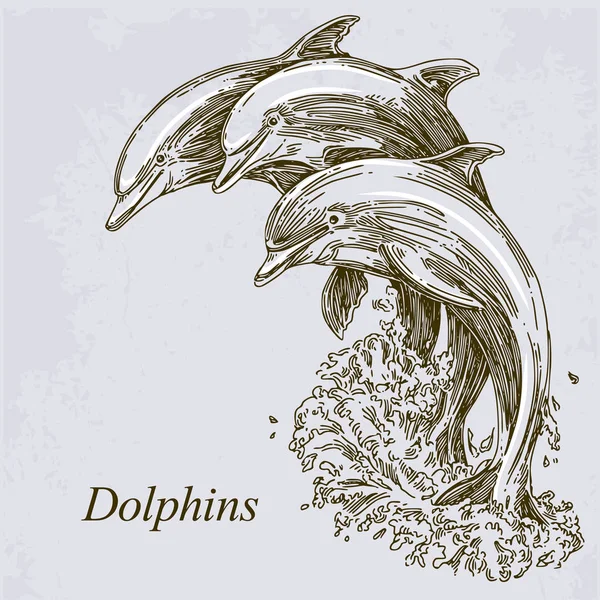 Группа дельфинов прыгает в воду. Векторная иллюстрация . — стоковый вектор