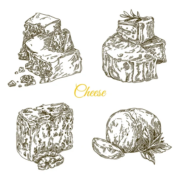 Peynir seti. Parmesan, brie, dor mavisi ve mozzarella.