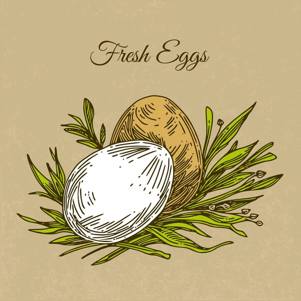 Δύο φρέσκα αυγά στο γρασίδι. — Διανυσματικό Αρχείο
