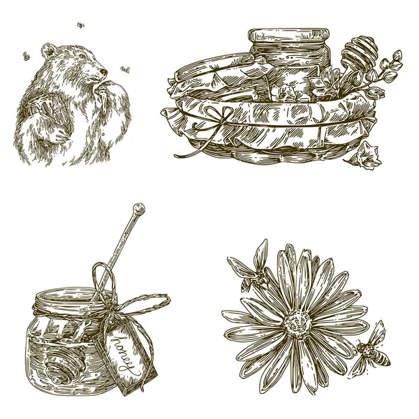 Vintage honey set. Bear eatting honey, basket with honey, open pot with honey, flower with bees. Stock Illustration