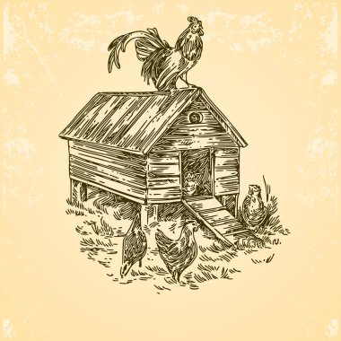 Poultry farm. Chicken coop with rooster and hens.  clipart