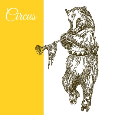 Patenüzerinde sirk ayısı. 