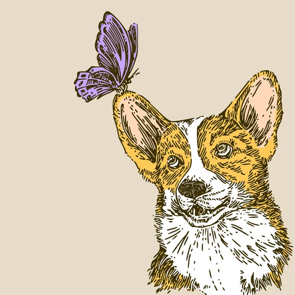 Prachtige vintage achtergrond. Corgi en Butterfly. Kleurenkaart. — Stockvector