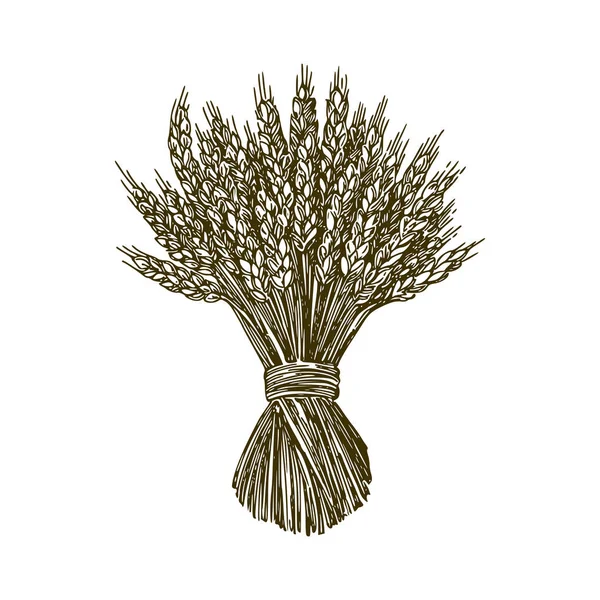 Sheaves Of Wheat Clipart