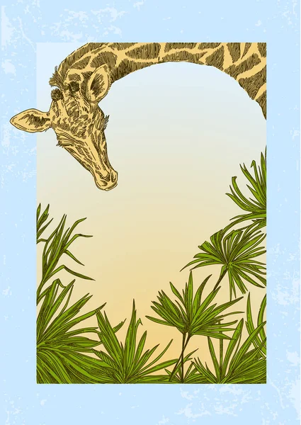 Fondo selvático con jirafa y hojas de palma. Tarjeta de color . — Vector de stock