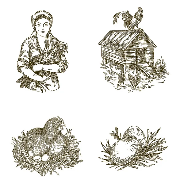Fjäderfä odling. Vintage set. Kvinna med chiken, höna i boet, chickenhouse och ägg. — Stock vektor