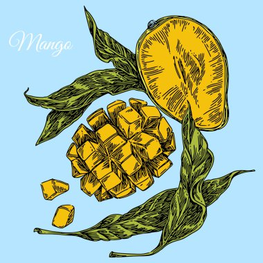 Mango meyveleri yapraklarla doğrandı. Renkli kart. 