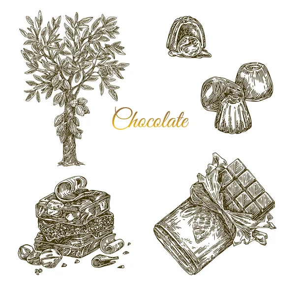 Set van chocolade. Cacaoboom, bonbons, stapel en verpakking chocoladereep. — Stockvector