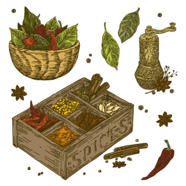 Vintage baharat seti. Değirmen, kutu ve çanak. Renk. 