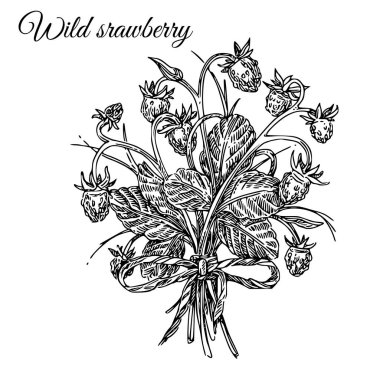 yabani çilek buketi. 