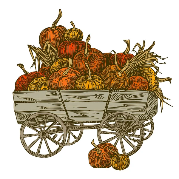 Cosecha de otoño. carro de madera con calabazas. Color. . — Vector de stock