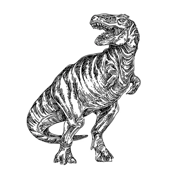 Tiranosaurio . — Archivo Imágenes Vectoriales