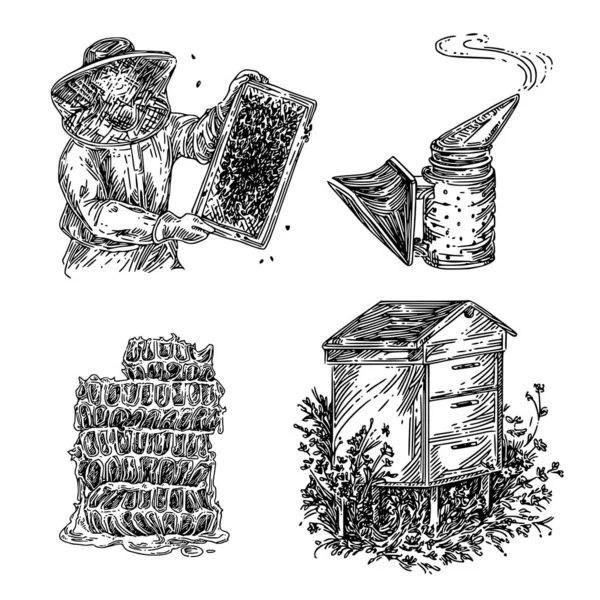 Conjunto de miel. Beekeper, fumador, panal y colmena de madera . — Vector de stock