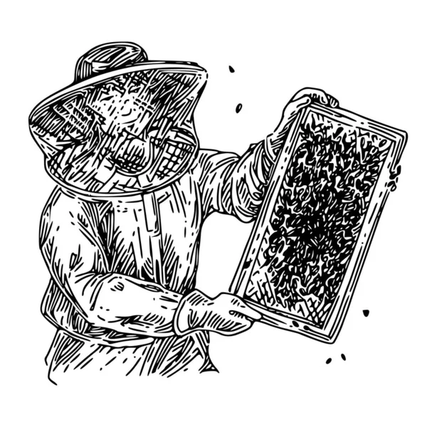 Beekeeper in protective clothing keeping honeycomb with bees. Vector Graphics