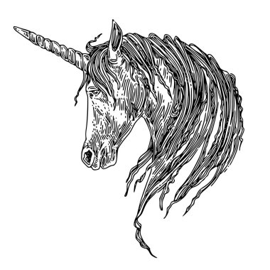 Tek boynuzlu at head. 