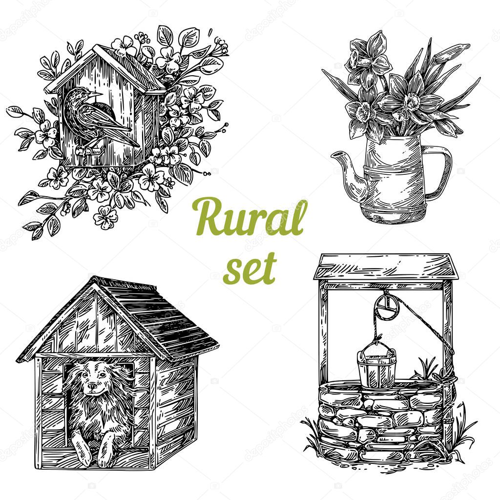 Rural set. Birdhouse, jug whis narcissus, doghouse and old well.