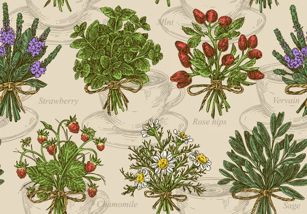 Modèle sans couture vintage. Plantes pour tisanes. Cuisse de rose, camomille, verveine, sauge, menthe et fraise sauvage . — Image vectorielle