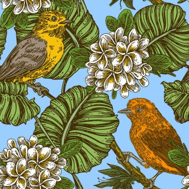 Küçük tropik kuşlar ağaç dalları ve plumeria çiçekleri üzerinde oturan. Vintage dikişsiz desen. 