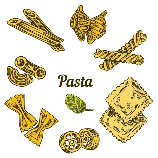 Verschiedene Arten von Pasta und Basilikumblättern. — Stockvektor