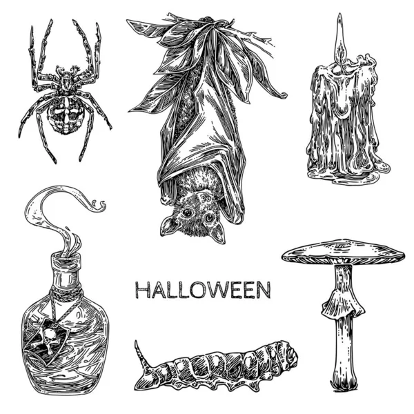 Vintage-Set-Elemente für Halloween. Fledermaus, blasser Fliegenpilz, Kerze, Spinne und Raupe. — Stockvektor