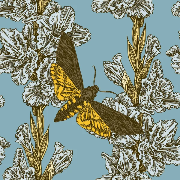 Hermoso patrón floral sin costuras. Mariposa cabeza muerta y gladiolo flores . — Vector de stock