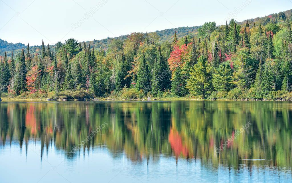 Colorful autumn forest in National Park La Mauricie, Canada