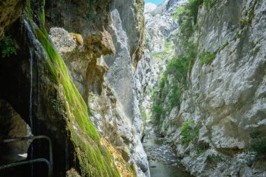 Cares Trekking Rotası,Asturias'ta Kanyon Manzarası