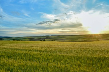 Tarım arazilerinde gün batımırenkli manzara. Özgürlük hissi