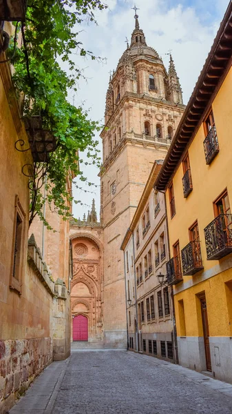 Kleurrijke straat met de nieuwe kathedraal van Salamanca op de achtergrond, Spanje — Stockfoto