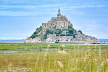 Ön planda çim detay ve Mont Saint Michel, Fransa, arka planda