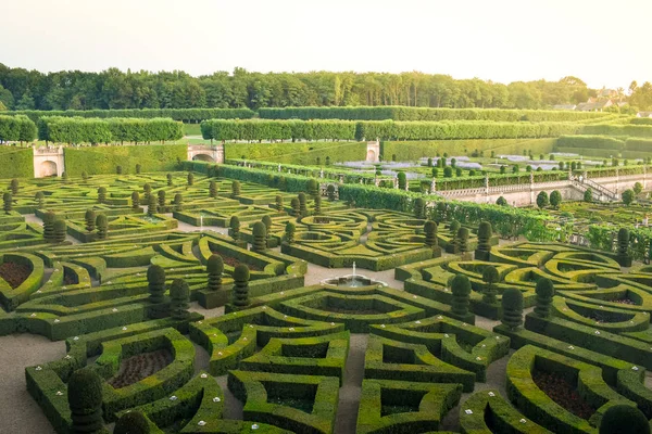 Gizemli bir ışık ile gün batımı renkli resmi Bahçe.