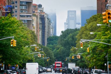 Manhattan binaları 5 ave. Harlem sisli bir günde, ağaçlar ve trafik ışıkları ile silueti. Nyc, Amerika Birleşik Devletleri.