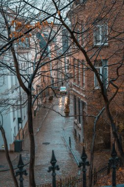 Sonbaharda ağaçlar ve bir parkın çitleri arasında çerçevelenen turuncu tuğla binaların yağmurundan sonra ıslak sokak. Brüksel, Belçika.