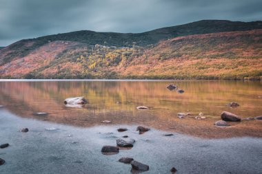 Bir göl ve sonbaharda dağları ve ormanı yansıtan bir dağ manzarası. Sanabria Gölü, Zamora, İspanya