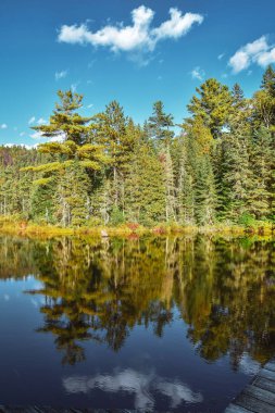 Sonbahar ormanı manzarası ve gölün yansıması. La Mauricie Ulusal Parkı, Kanada.