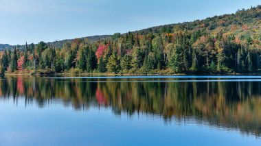 Sonbahar ormanı manzarası ve gölün yansıması. La Mauricie Ulusal Parkı, Kanada.