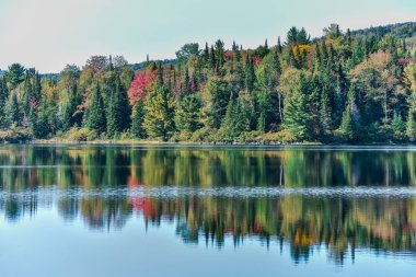Sonbahar ormanı manzarası ve gölün yansıması. La Mauricie Ulusal Parkı, Kanada.