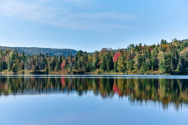 Sonbahar ormanı manzarası ve gölün yansıması. La Mauricie Ulusal Parkı, Kanada.