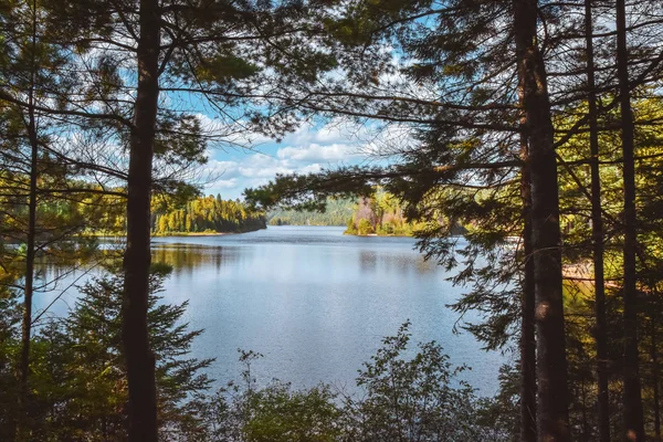 Sonbahar ormanı manzarası ve gölün yansıması. La Mauricie Ulusal Parkı, Kanada.