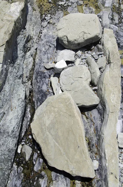 Kamienie Morskie Plaży — Zdjęcie stockowe