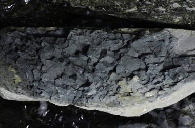 Eski deniz taşlarının görüntüsü.