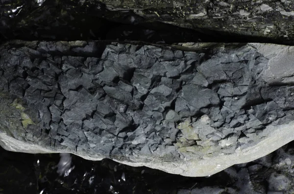 Eski deniz taşlarının görüntüsü.