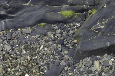 Sahilde deniz taşları.