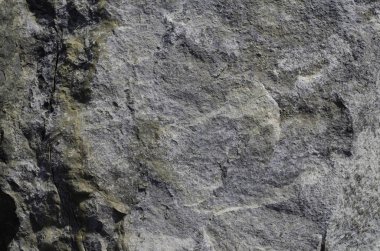 Sahilde deniz taşları.