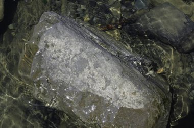 Denizden büyük ve küçük taşlar.