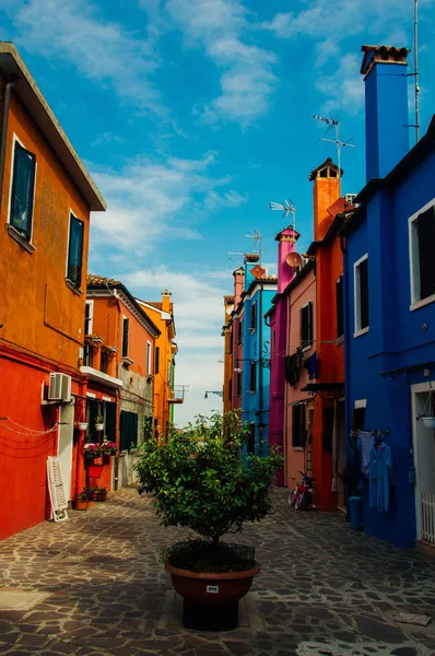 Multicolored Hous Burano Vinece Lemon — Stock Photo, Image